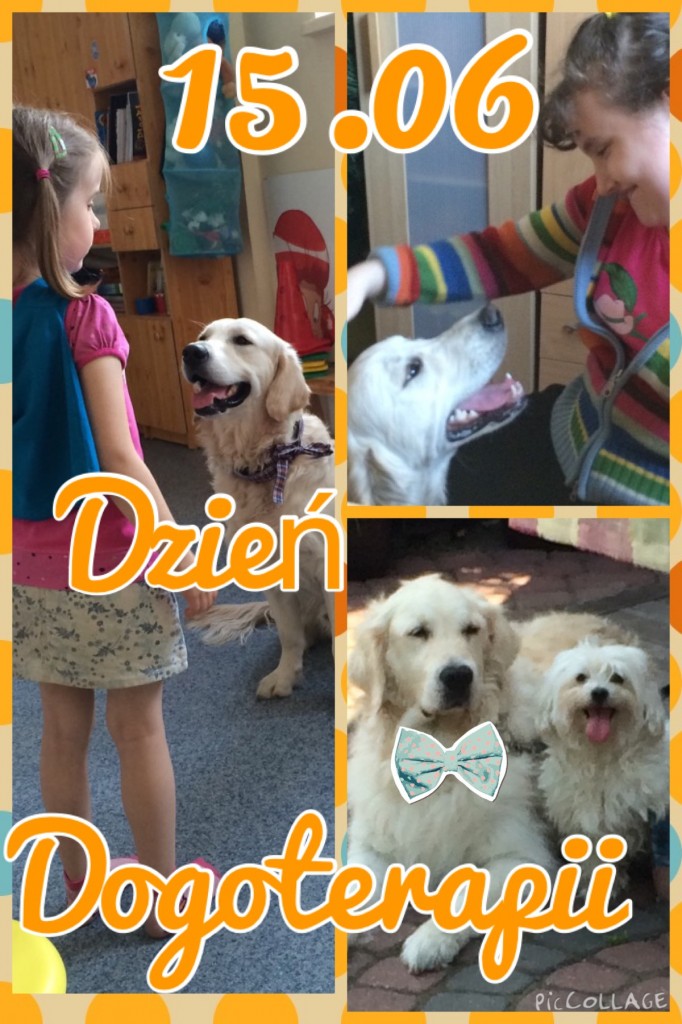 dogo smc
