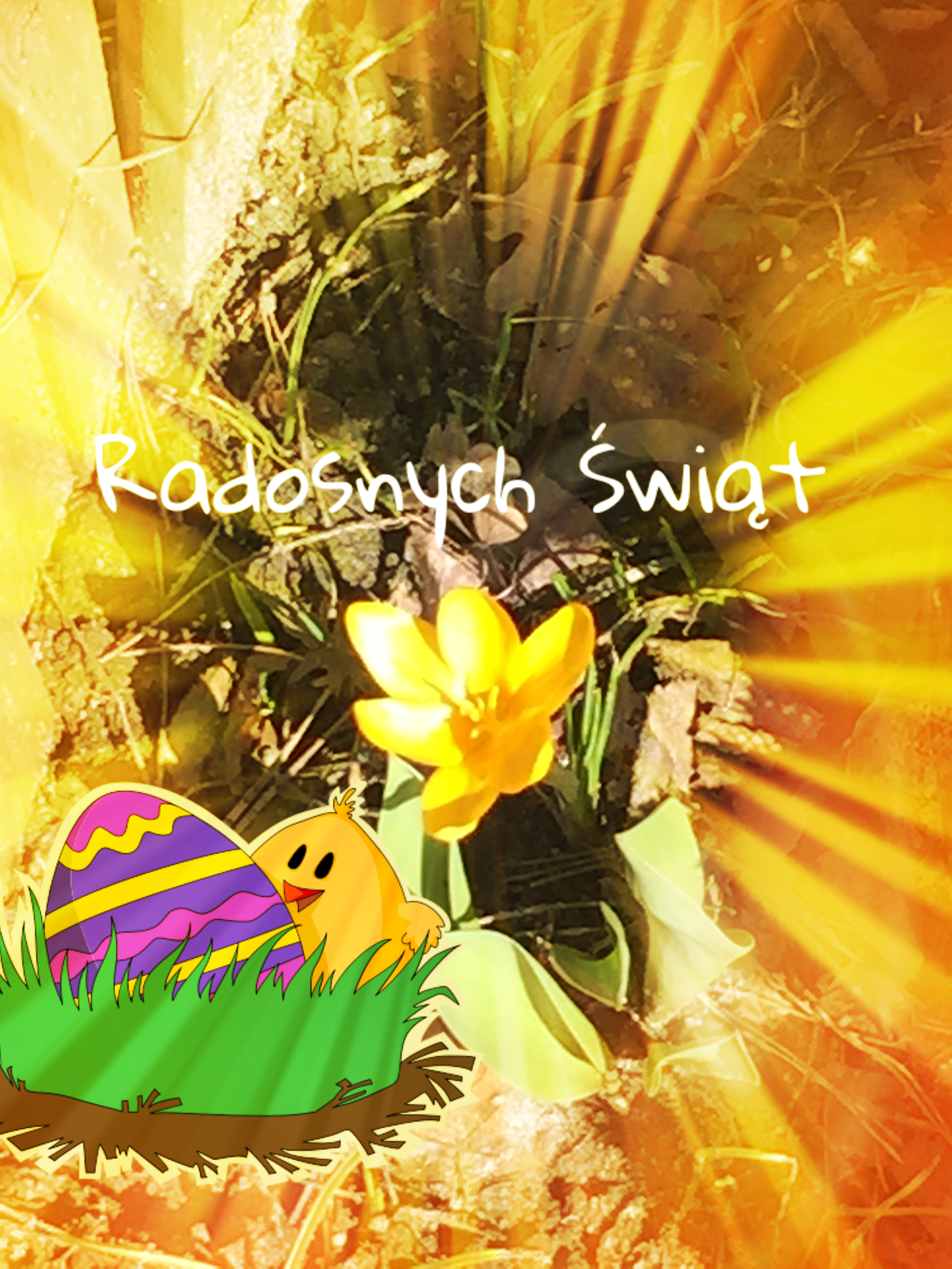 radosnych świąt